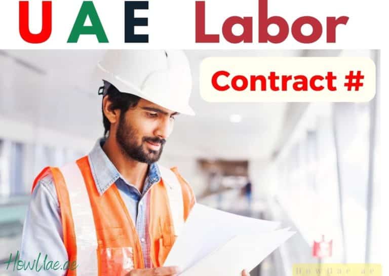 How To Check Labour Contract Online In Uae